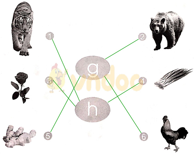 Giải vở bài tập Tiếng Việt 1 Cánh Diều Bài Bài 12: g, h