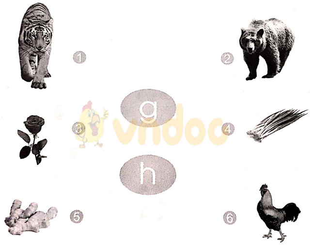 Giải vở bài tập Tiếng Việt 1 Cánh Diều Bài Bài 12: g, h