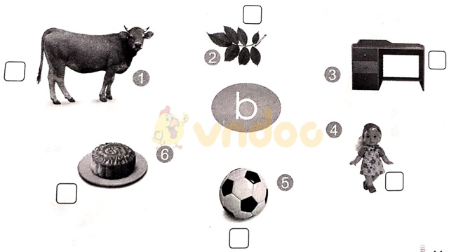 Giải vở bài tập Tiếng Việt 1 Cánh Diều Bài 11: b, bễ