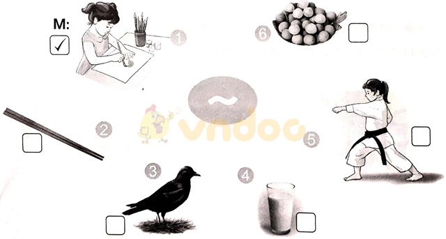 Giải vở bài tập Tiếng Việt 1 Cánh Diều Bài 11: b, bễ