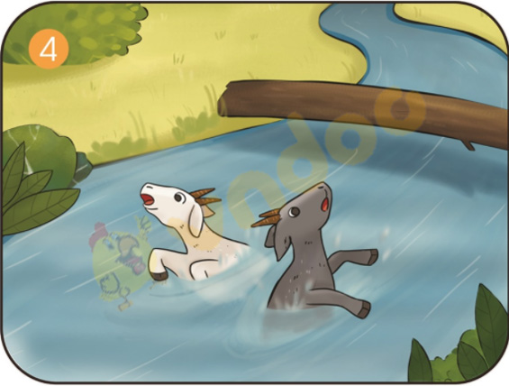 Bài 3: Kể chuyện Hai con dê