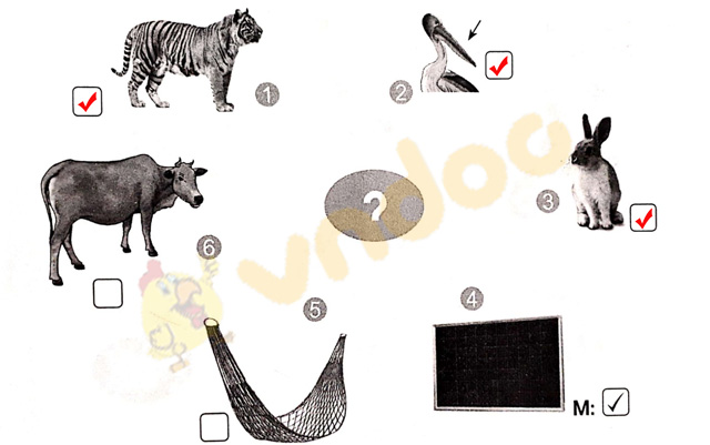 Giải vở bài tập Tiếng Việt 1 Cánh Diều Bài 5: cỏ, cọ