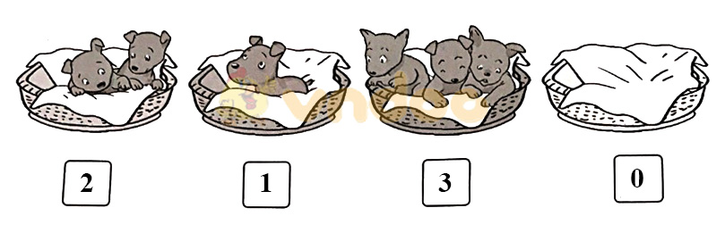 Giải vở bài tập Toán lớp 1 sách Cánh Diều bài 5