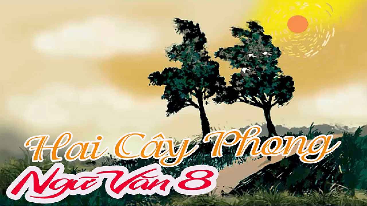 Kết bài văn bản Hai cây phong