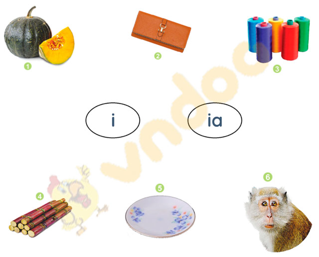 Bài 13: i, ia