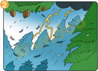 Bài 20: Kể chuyện Đôi bạn