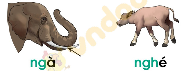 Bài 22: ng, ngh
