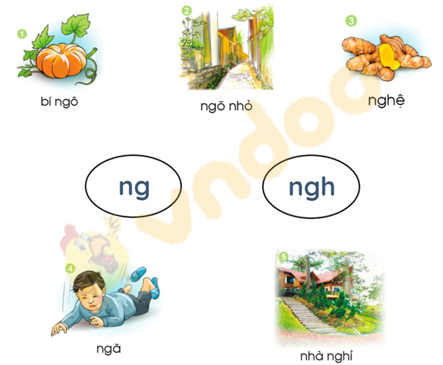 Bài 22: ng, ngh