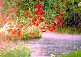 Mở bài thơ Cảnh ngày hè