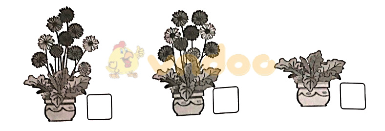 Giải vở bài tập Toán lớp 1 trang 18, 19