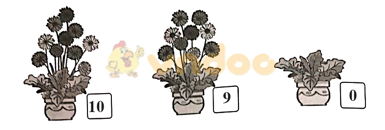 Giải vở bài tập Toán lớp 1 trang 18, 19