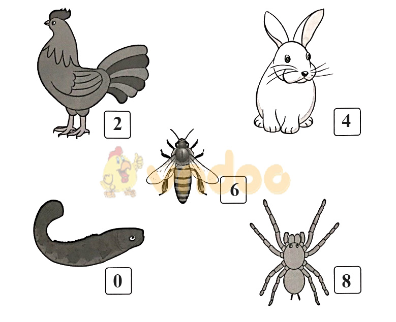 Giải vở bài tập Toán lớp 1 trang 18, 19