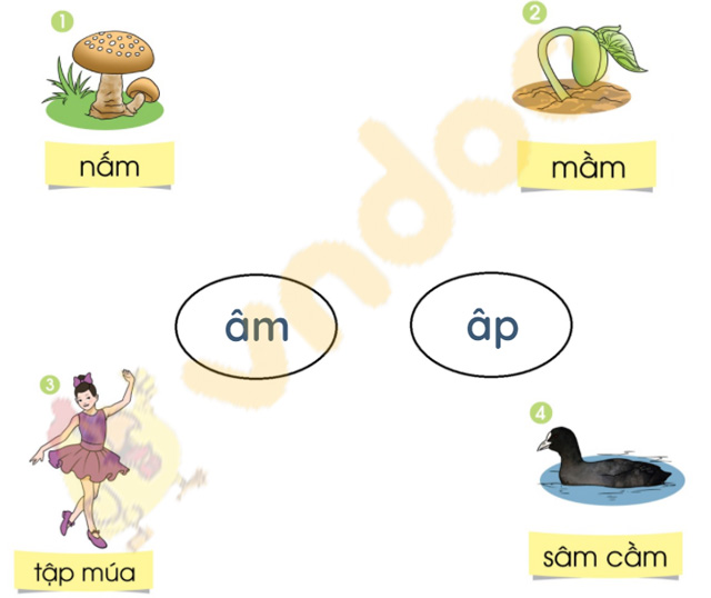 Giải bài tập Tiếng Việt lớp 1 trang 72 Bài 40: âm, âp