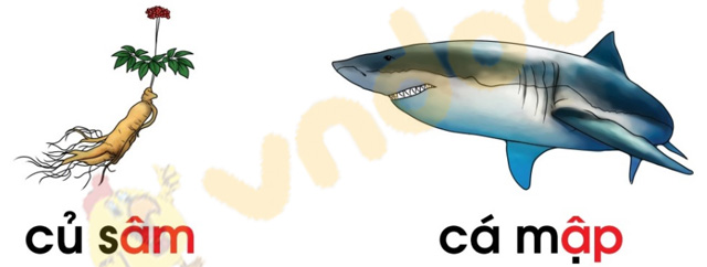 Giải bài tập Tiếng Việt lớp 1 trang 72 Bài 40: âm, âp