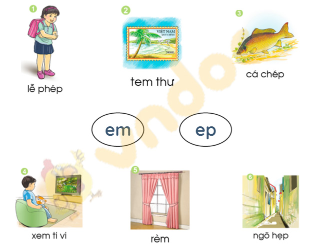 Giải bài tập Tiếng Việt lớp 1 trang 72 Bài 40: âm, âp