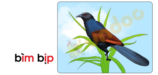 Giải bài tập Tiếng Việt lớp 1 trang 78 Bài 43: im, ip