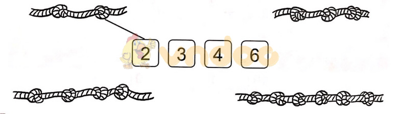 Giải vở bài tập Toán lớp 1 trang 27, 28