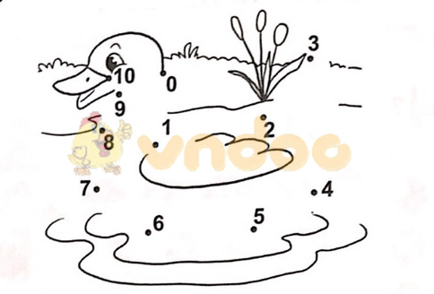 Giải vở bài tập Toán lớp 1 trang 27, 28