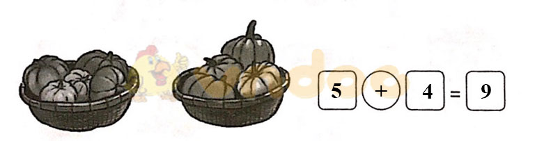 Giải vở bài tập Toán lớp 1 trang 37, 38