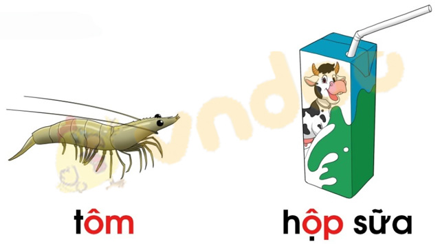 Giải bài tập Tiếng Việt lớp 1 trang 86 Bài 48: ôm, ôp