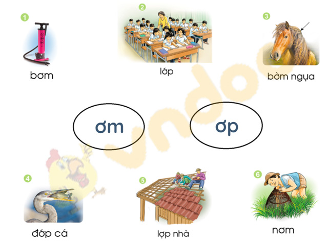 Giải bài tập Tiếng Việt lớp 1 trang 88 Bài 49: ơm, ơp
