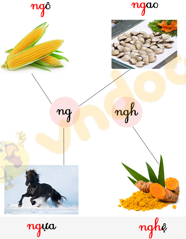 Phiếu bài tập cuối tuần Tiếng Việt lớp 1 Nâng cao - Tuần 5 - Đề 1