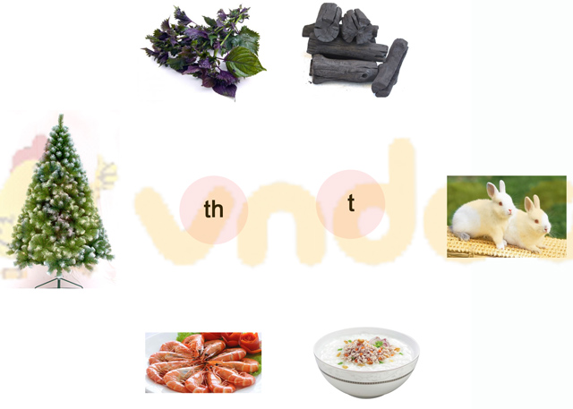 Phiếu bài tập cuối tuần Tiếng Việt lớp 1 Nâng cao - Tuần 6 - Đề 1