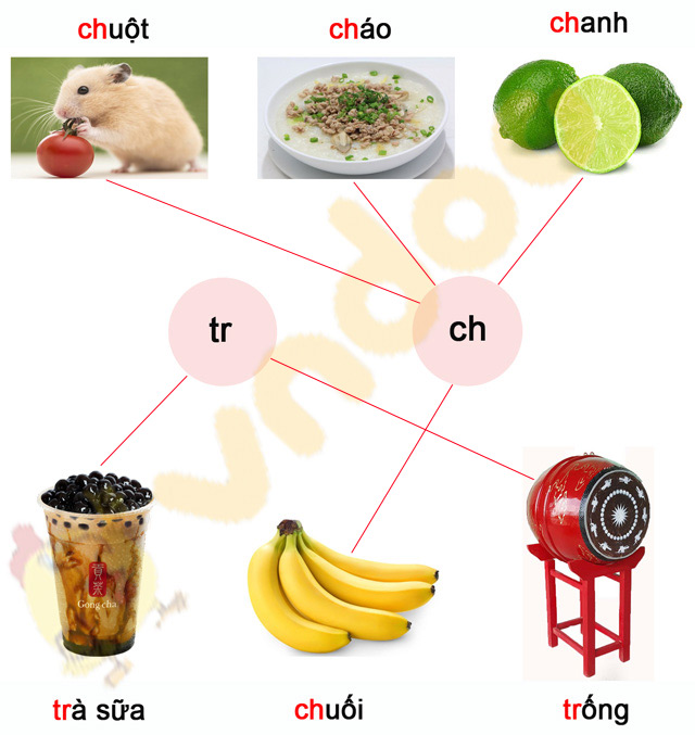 Phiếu bài tập cuối tuần Tiếng Việt lớp 1 Nâng cao - Tuần 6 - Đề 1