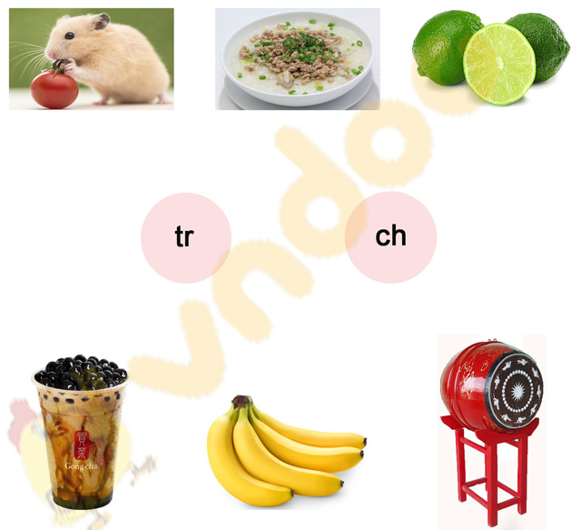 Phiếu bài tập cuối tuần Tiếng Việt lớp 1 Nâng cao - Tuần 6 - Đề 1