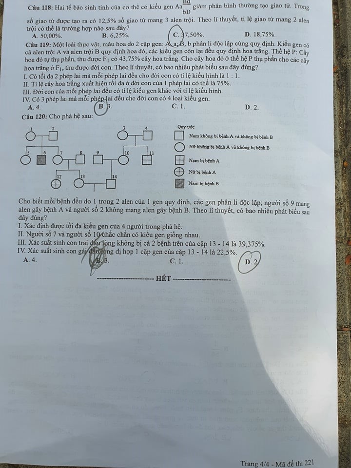Đáp án Đề thi THPT Quốc Gia 2020 môn Sinh đợt 2