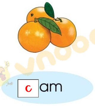 Giải bài tập Tiếng Việt lớp 1 trang 92 Bài: Ôn tập giữa Học kì 1