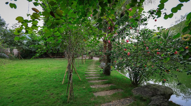 Lập dàn ý tả cảnh buổi sáng trong vườn cây