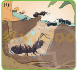 Giải bài tập Tiếng Việt lớp 1 trang 32 Bài 5: Ôn tập và kể chuyện