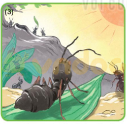 Giải bài tập Tiếng Việt lớp 1 trang 32 Bài 5: Ôn tập và kể chuyện