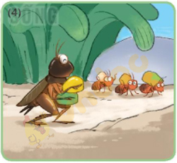 Giải Bài tập Tiếng Việt lớp 1 trang 72 Bài 30: Ôn tập và kể chuyện