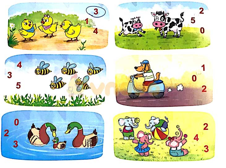 Giải Toán lớp 1 trang 12, 13 sách Kết nối tri thức với cuộc sống