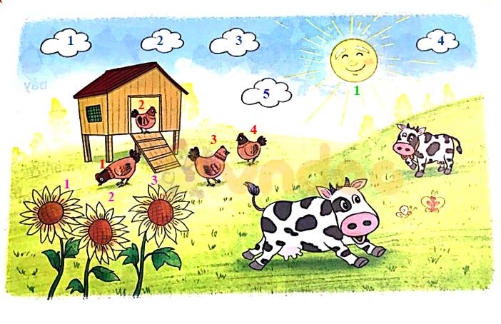 Giải Toán lớp 1 trang 12, 13 sách Kết nối tri thức với cuộc sống