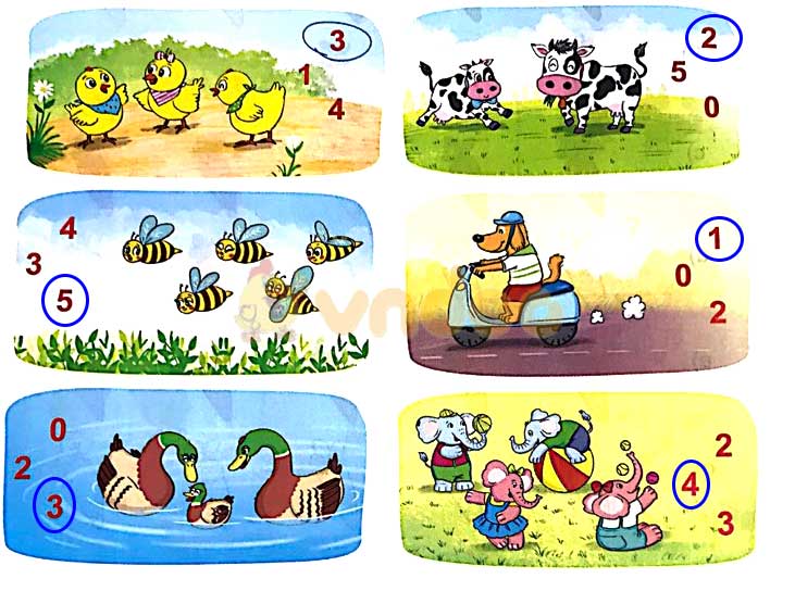 Giải Toán lớp 1 trang 12, 13 sách Kết nối tri thức với cuộc sống