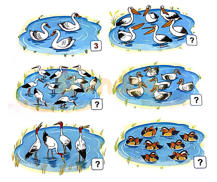 Giải Toán lớp 1 trang 16, 17 sách Kết nối tri thức với cuộc sống