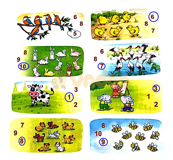 Giải Toán lớp 1 Bài 2 sách Kết nối tri thức với cuộc sống