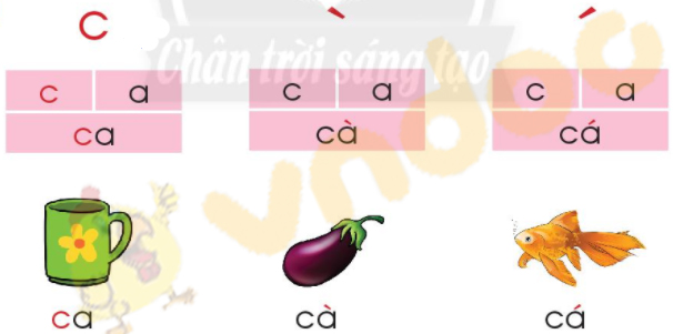 Giải Bài tập Tiếng Việt lớp 1 trang 14 Bài 3: C, c