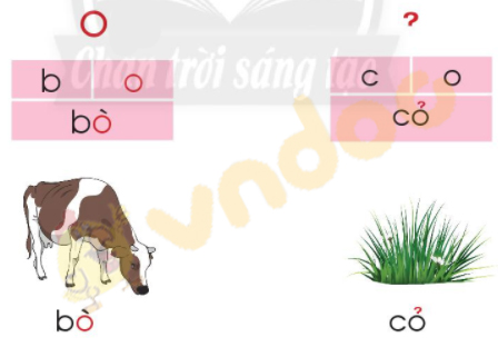 Giải Bài tập Tiếng Việt lớp 1 trang 16 Bài 4: O, o