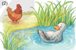 Giải Bài tập Tiếng Việt lớp 1 trang 82 Bài 35: Ôn tập và kể chuyện