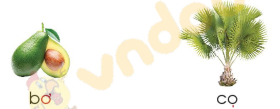 Giải Bài tập Tiếng Việt lớp 1 trang 20 Bài 1: Ơ, ơ