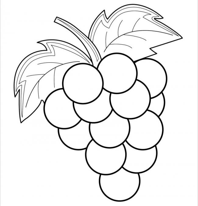 Tranh tô màu hoa quả