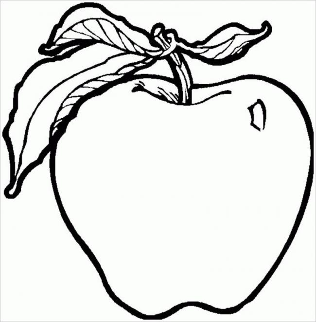 Tranh tô màu hoa quả