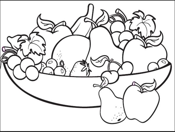 Tranh tô màu hoa quả