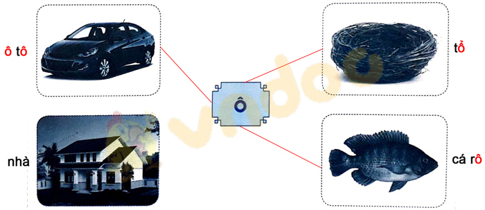 Giải Vở bài tập Tiếng Việt lớp 1 trang 10 Bài 7: Ô, ô