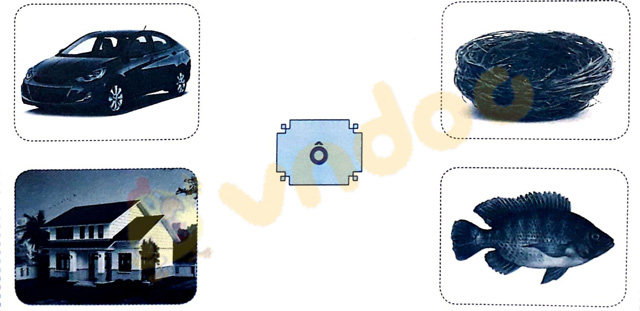 Giải Vở bài tập Tiếng Việt lớp 1 trang 10 Bài 7: Ô, ô