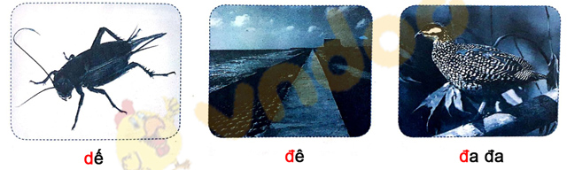 Giải Vở bài tập Tiếng Việt lớp 1 trang 11 Bài 8: D, d, Đ, đ